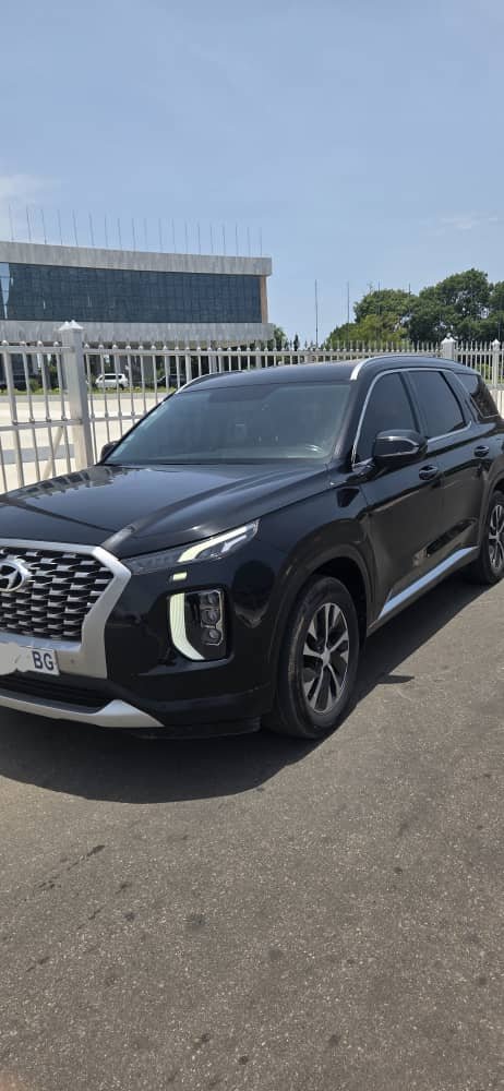 HYUNDAI PALISSADE