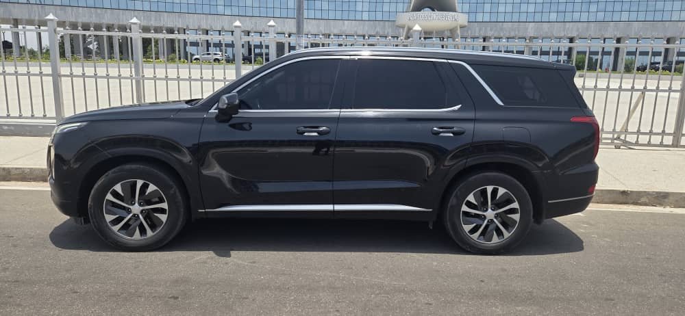 HYUNDAI PALISSADE - Vue supplémentaire