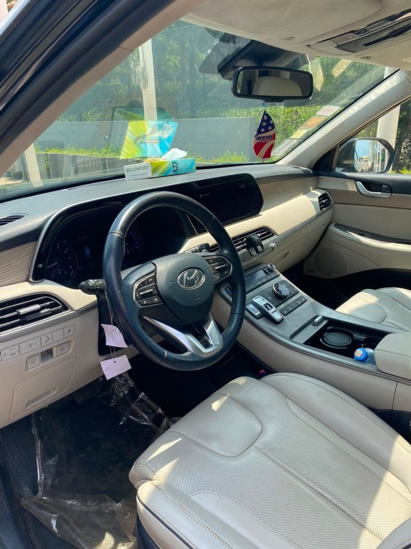 HYUNDAI PALISSADE - Vue supplémentaire